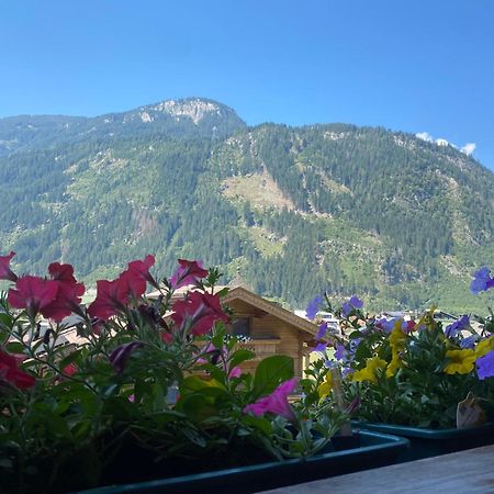 Pension Schwemberger Ohne Fruehstueck Mayrhofen Exteriör bild