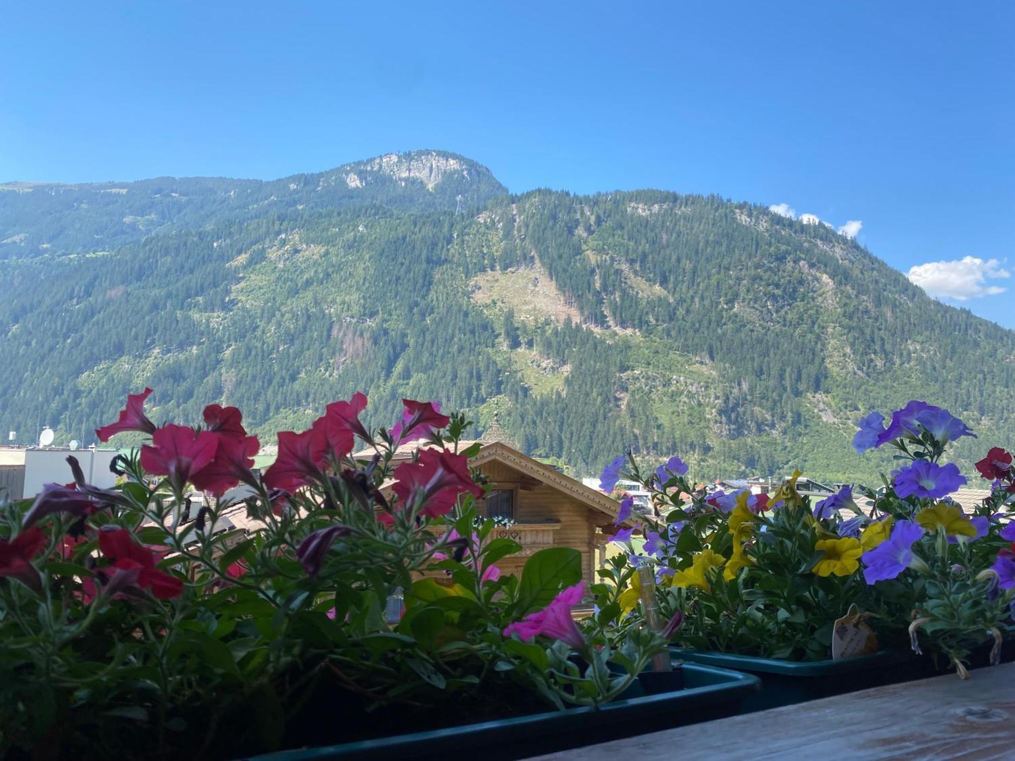 Pension Schwemberger Ohne Fruehstueck Mayrhofen Exteriör bild